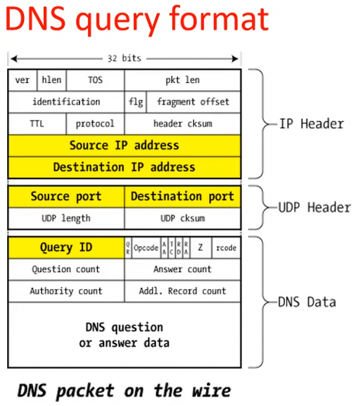 DNS query format