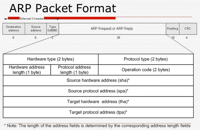 ARP Packet format